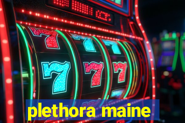 plethora maine